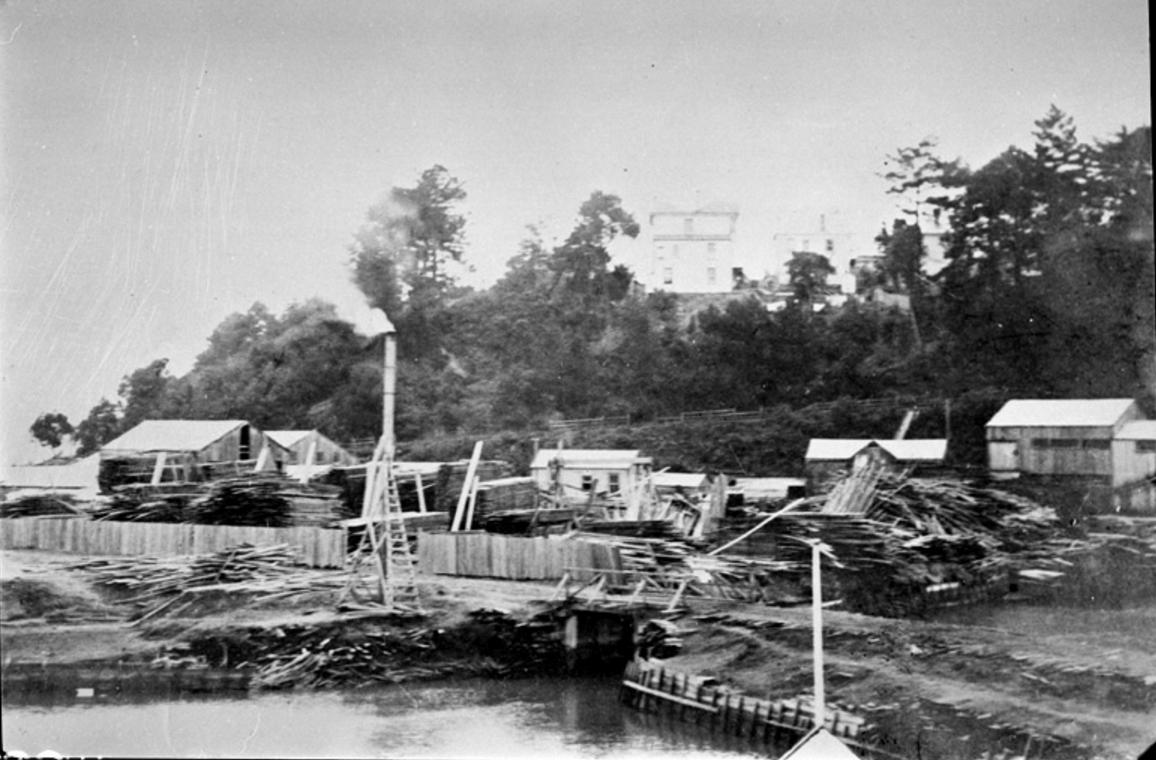 Cashmore Brothers sawmill in Cox's Creek Road, now West End Road, 1908. Sir George Grey Special Collections, Auckland Libraries.