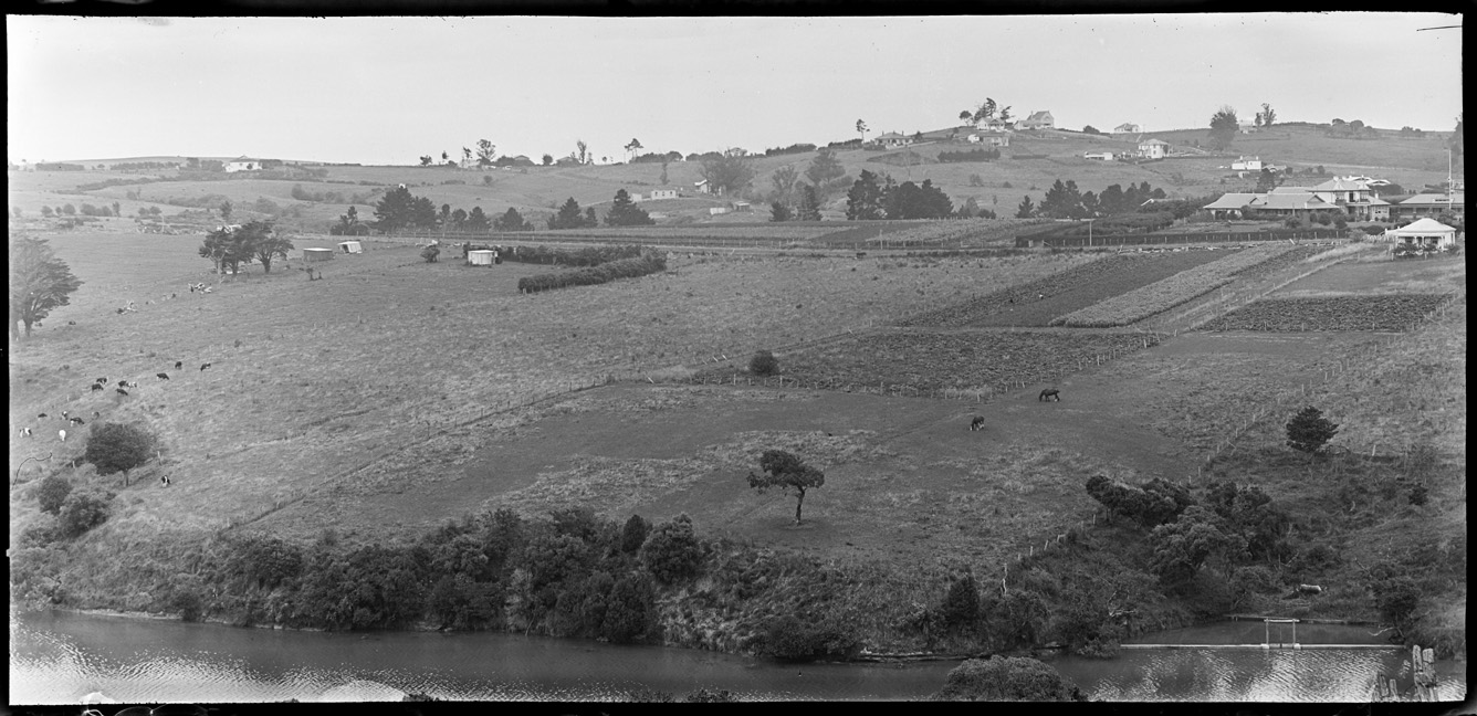 Looking south east over Hobson Bay (foreground) towards Meadowbank (c.1920)